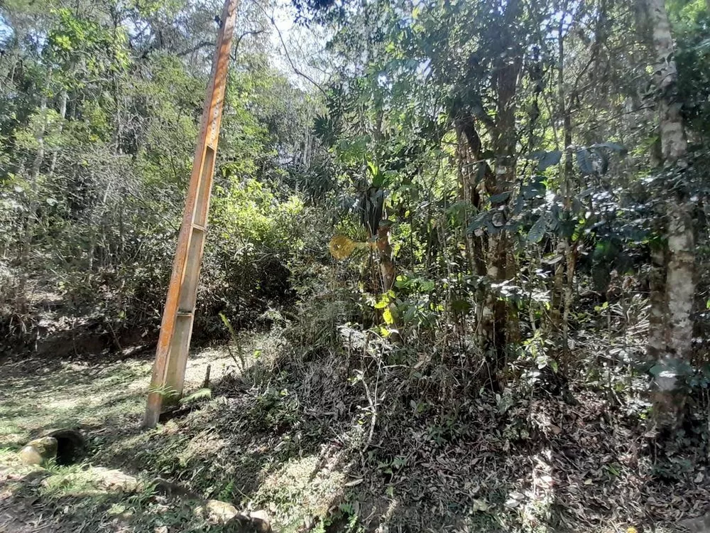 Terreno, 5960 m² - Foto 3