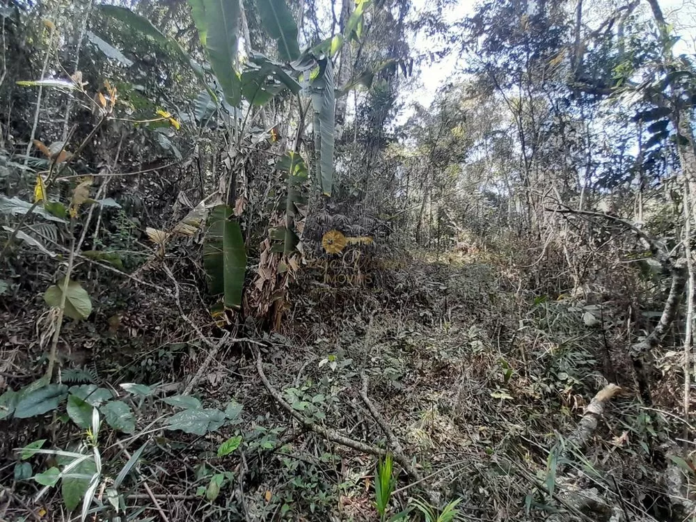 Terreno, 5960 m² - Foto 4