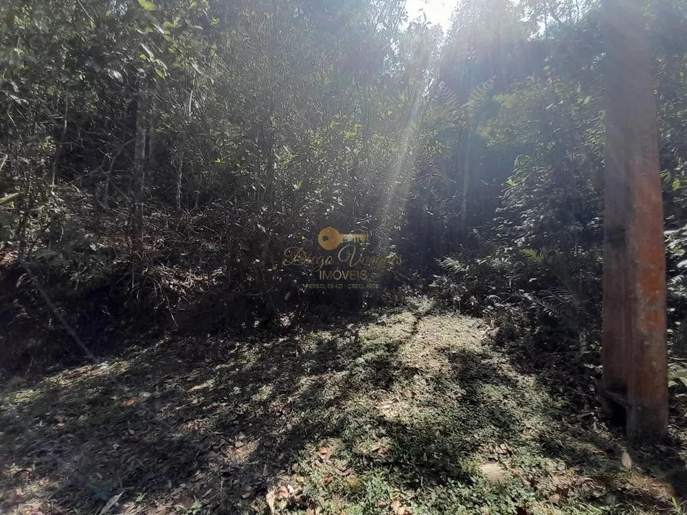 Terreno, 5960 m² - Foto 5