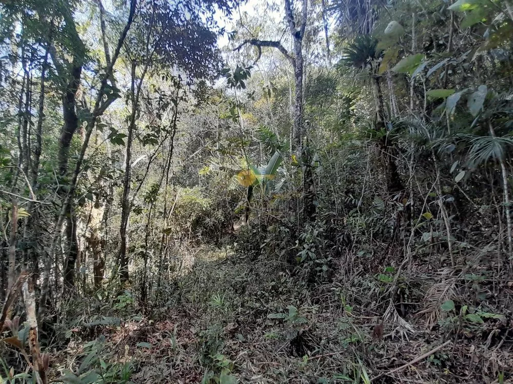 Terreno, 5960 m² - Foto 7