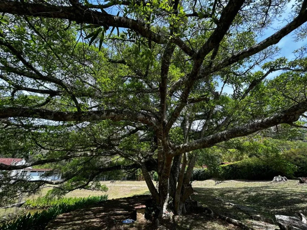 Casa, 3 quartos, 400 m² - Foto 38