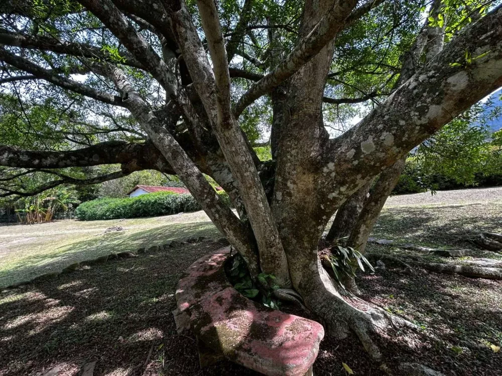 Casa, 3 quartos, 400 m² - Foto 40