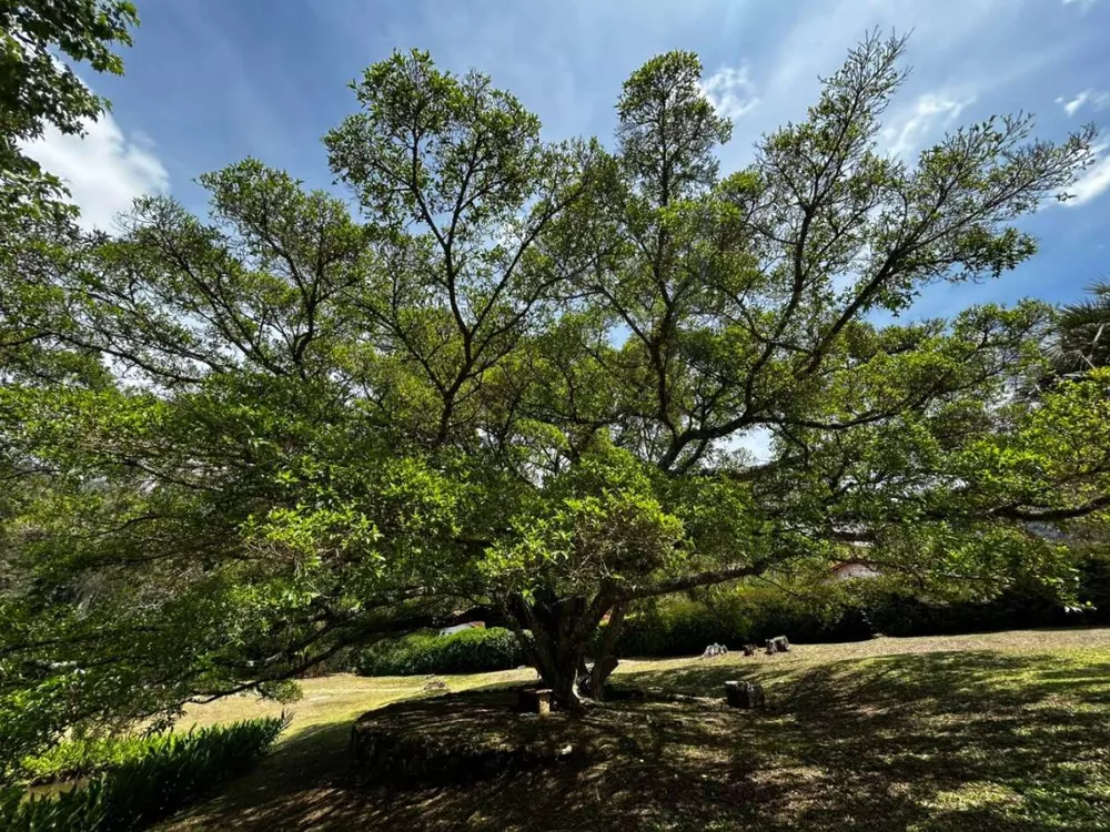 Casa, 3 quartos, 400 m² - Foto 44