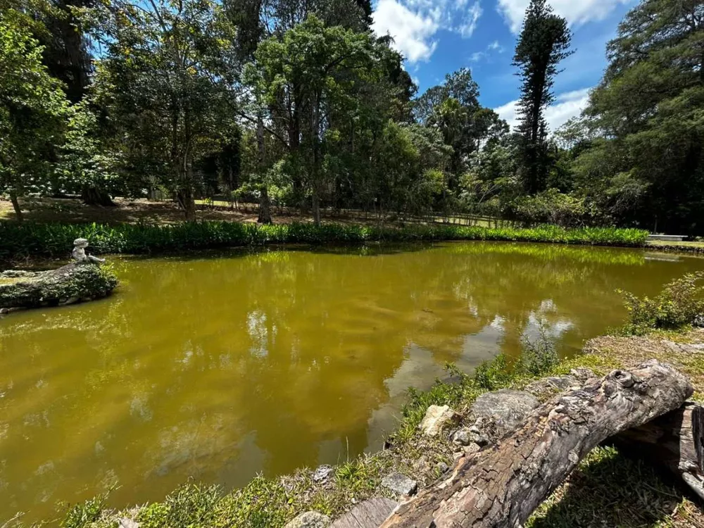 Casa, 3 quartos, 400 m² - Foto 31