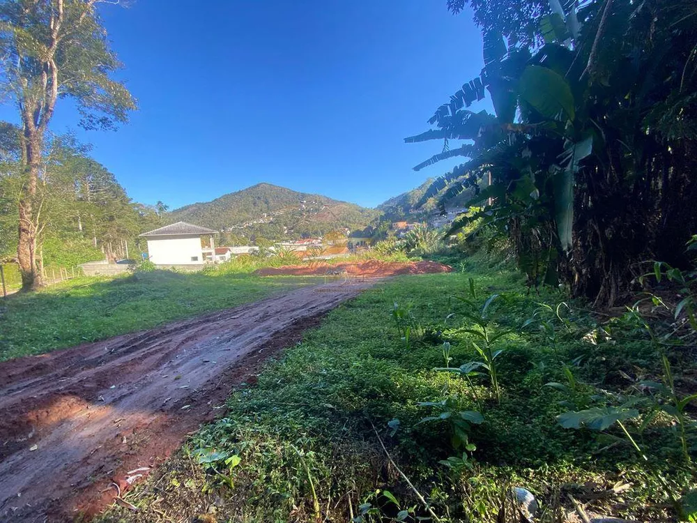Terreno, 1600 m² - Foto 9
