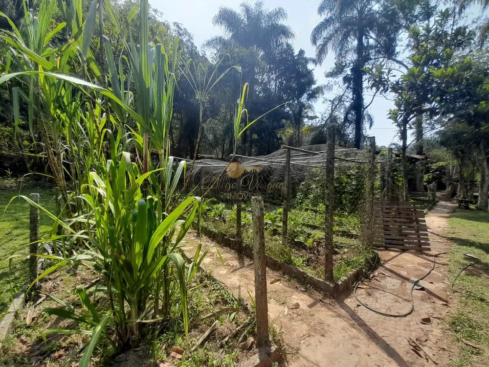 Casa, 5 quartos, 11000 m² - Foto 4