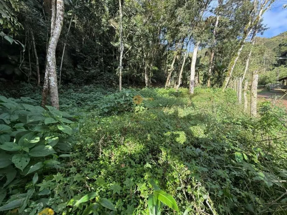 Terreno, 450 m² - Foto 4