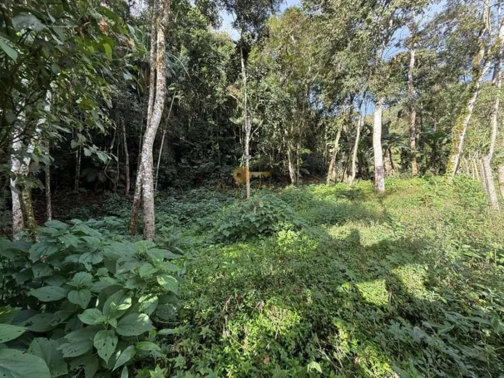 Terreno, 450 m² - Foto 3