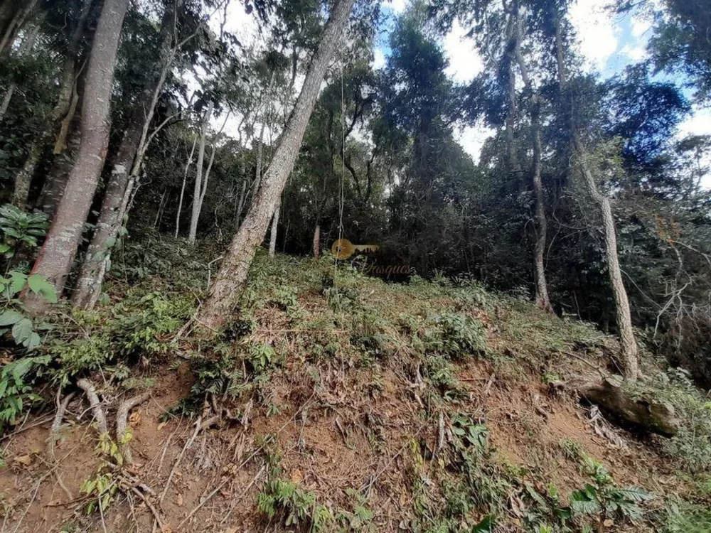 Terreno, 594 m² - Foto 7