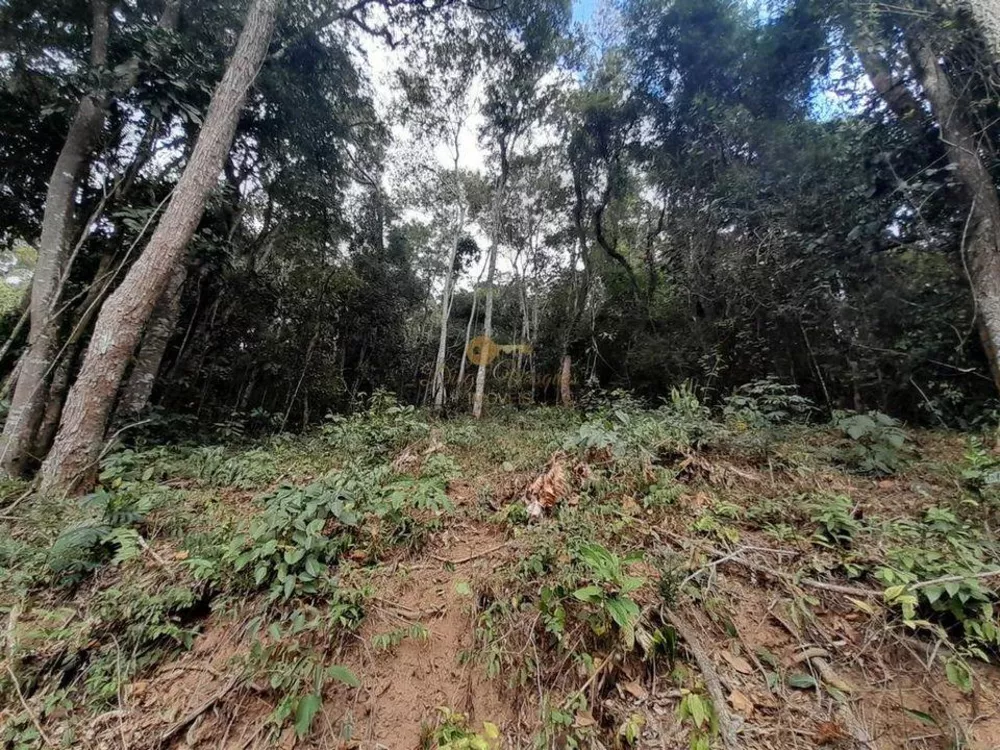 Terreno, 594 m² - Foto 13