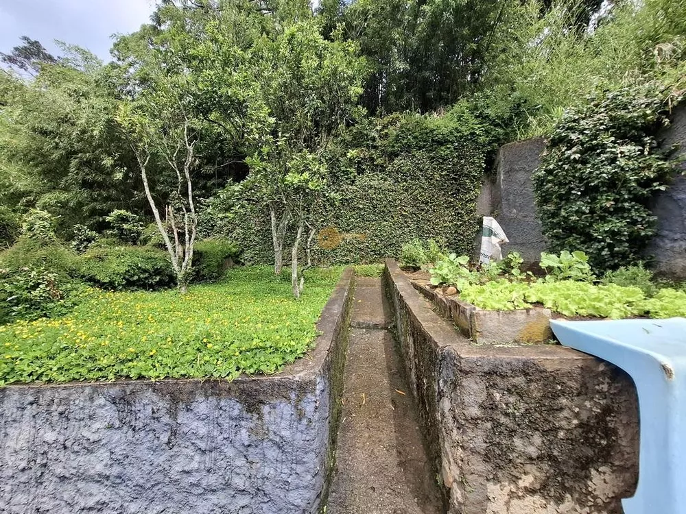 Casa, 3 quartos, 400 m² - Foto 8