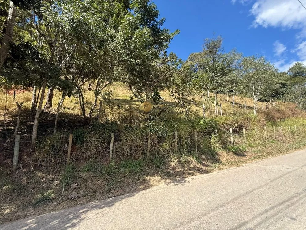 Sítio, 27 hectares - Foto 8