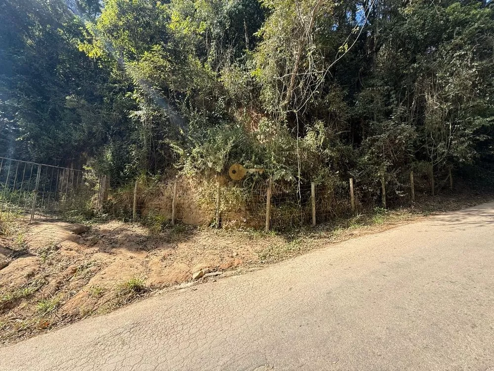 Sítio, 27 hectares - Foto 3