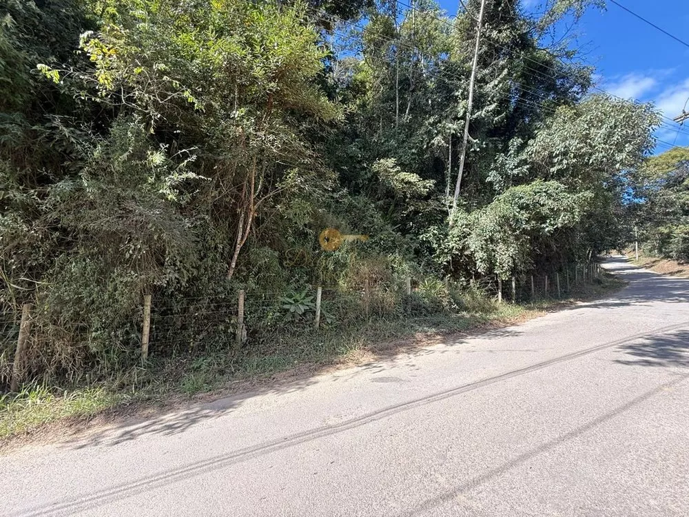 Sítio, 27 hectares - Foto 9