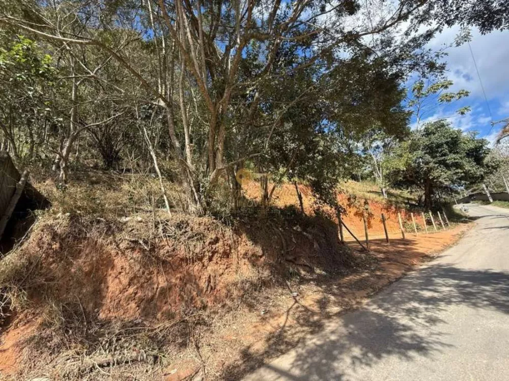 Sítio, 27 hectares - Foto 11