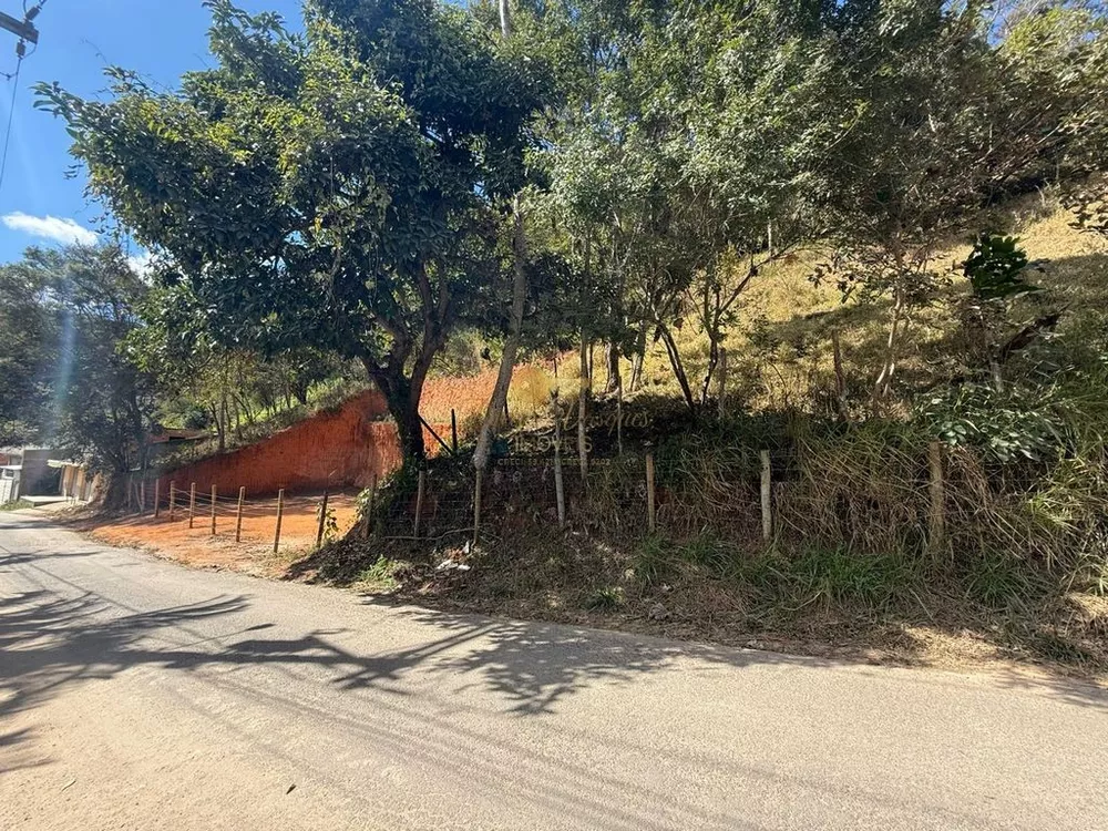 Sítio, 27 hectares - Foto 10