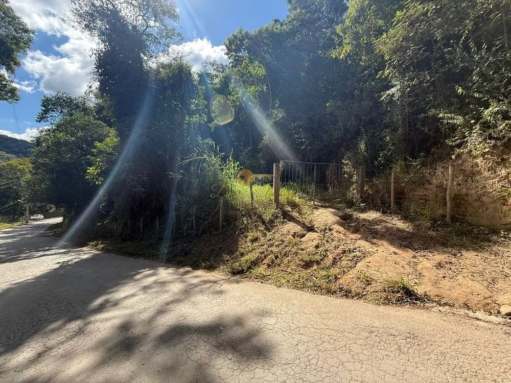 Sítio, 27 hectares - Foto 4