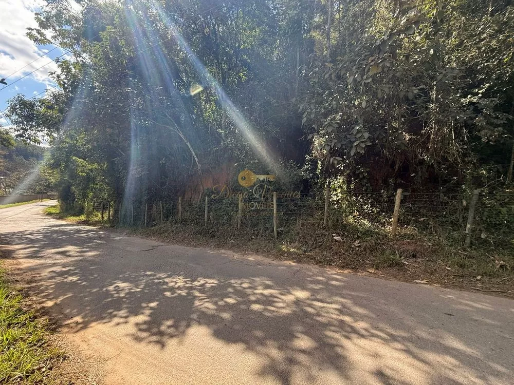 Sítio, 27 hectares - Foto 5