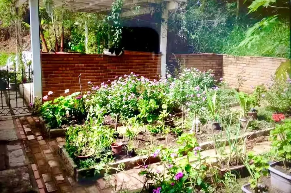 Sítio, 2 quartos, 2500 m² - Foto 19