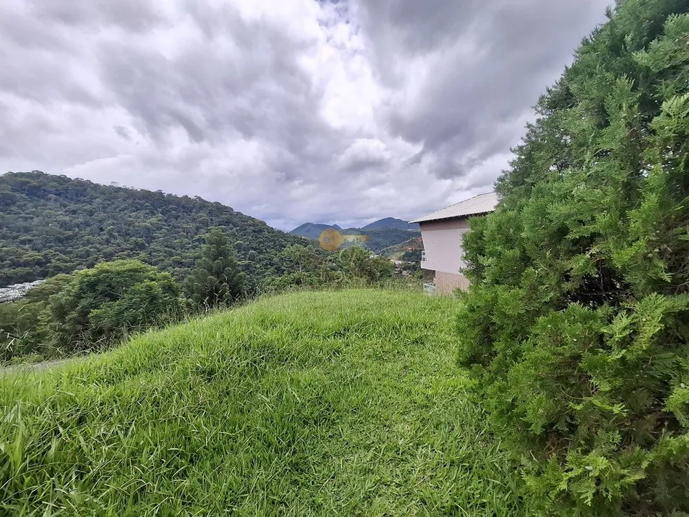 Terreno, 250 m² - Foto 5