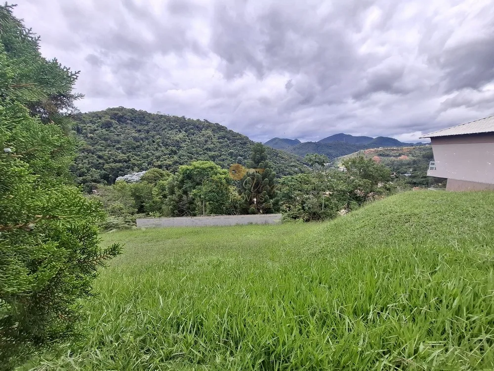 Terreno, 250 m² - Foto 3