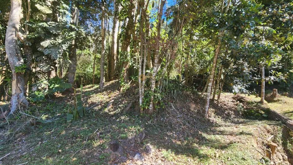 Casa, 8 quartos, 1700 m² - Foto 10