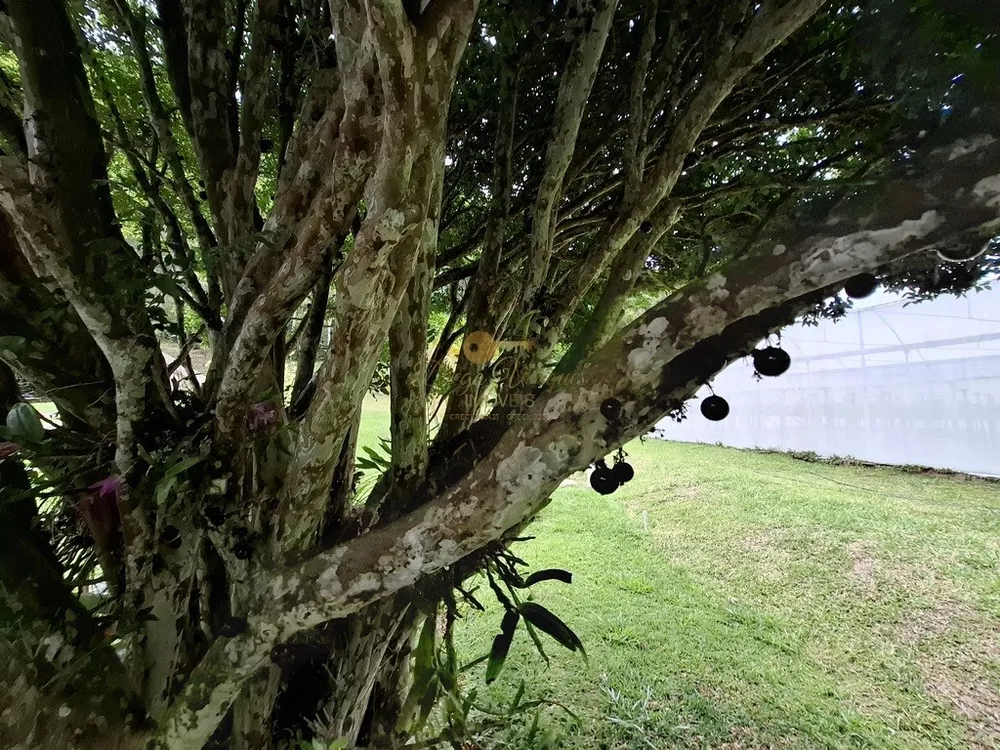 Sítio, 3 quartos, 42 hectares - Foto 17