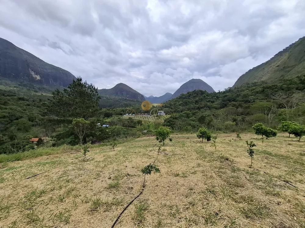 Sítio, 3 quartos, 42 hectares - Foto 4