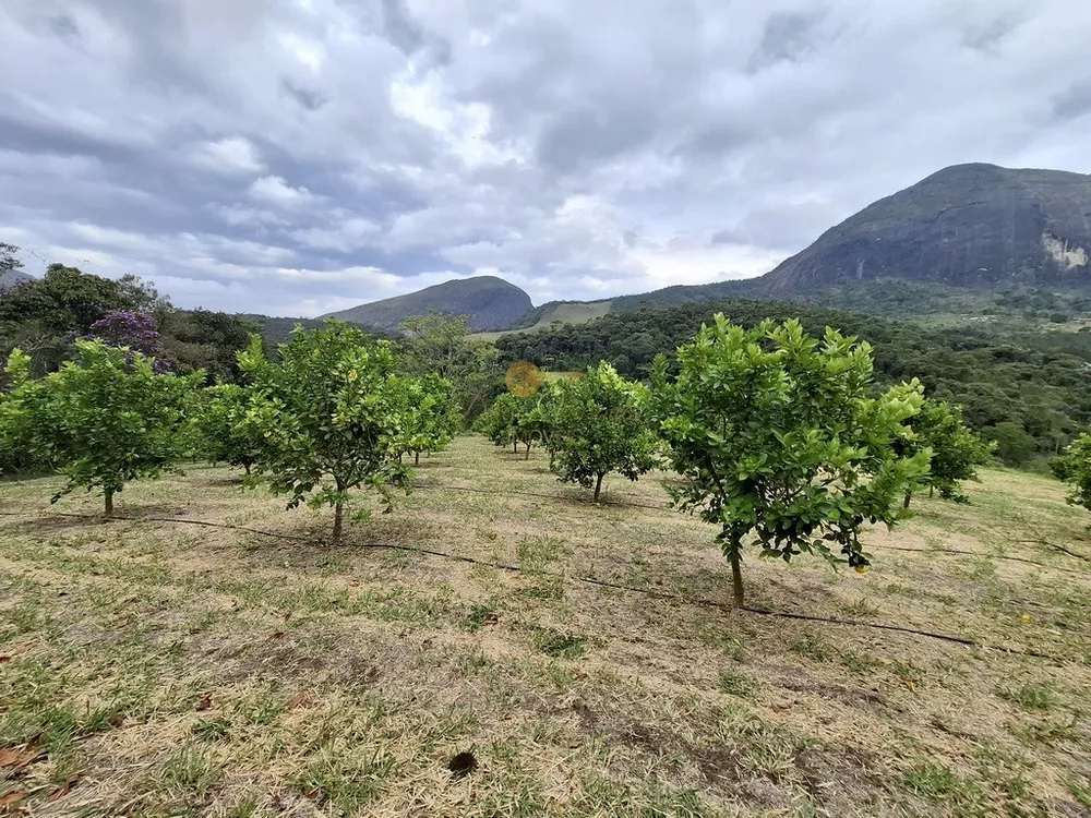 Sítio, 3 quartos, 42 hectares - Foto 6