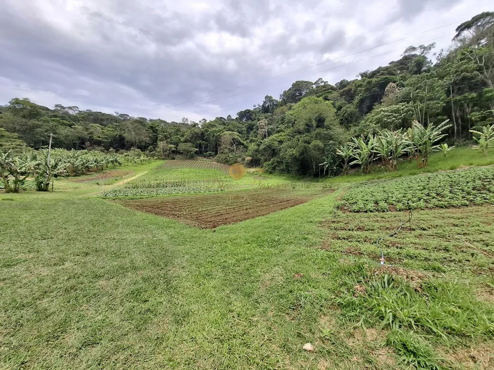 Sítio, 3 quartos, 42 hectares - Foto 24