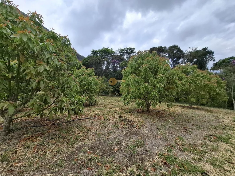 Sítio, 3 quartos, 42 hectares - Foto 3