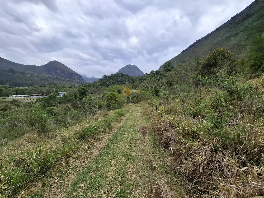 Sítio, 3 quartos, 42 hectares - Foto 9