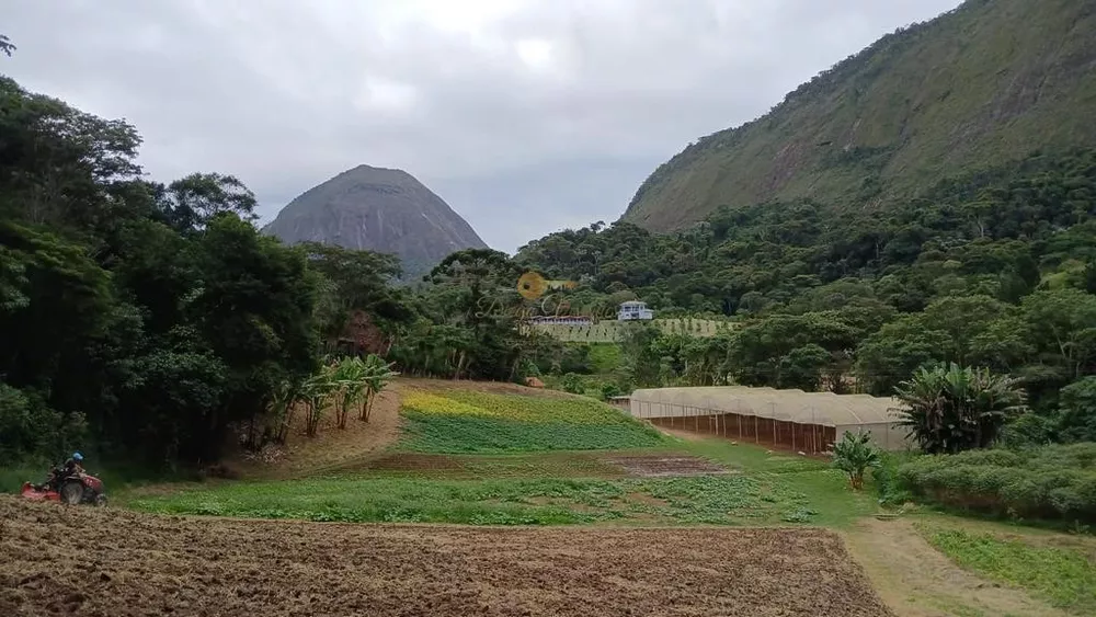 Sítio, 3 quartos, 42 hectares - Foto 52