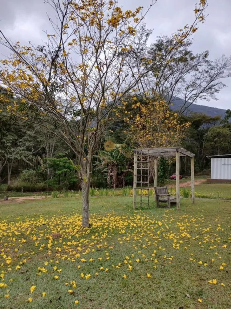 Sítio, 3 quartos, 42 hectares - Foto 48