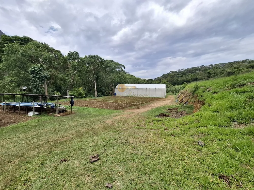 Sítio, 3 quartos, 42 hectares - Foto 23