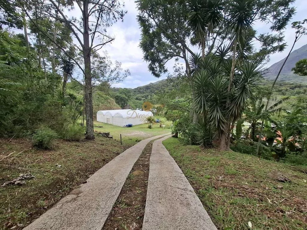 Sítio, 3 quartos, 42 hectares - Foto 7