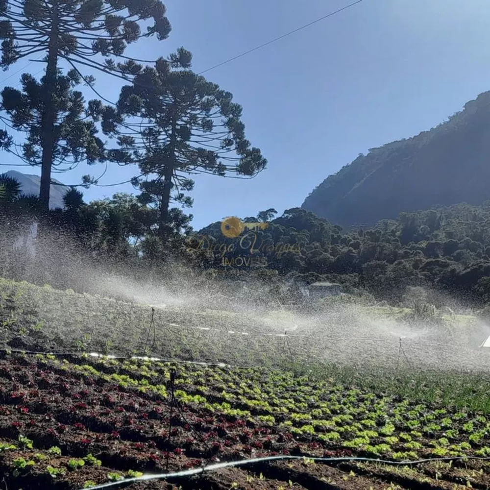 Sítio, 3 quartos, 42 hectares - Foto 51