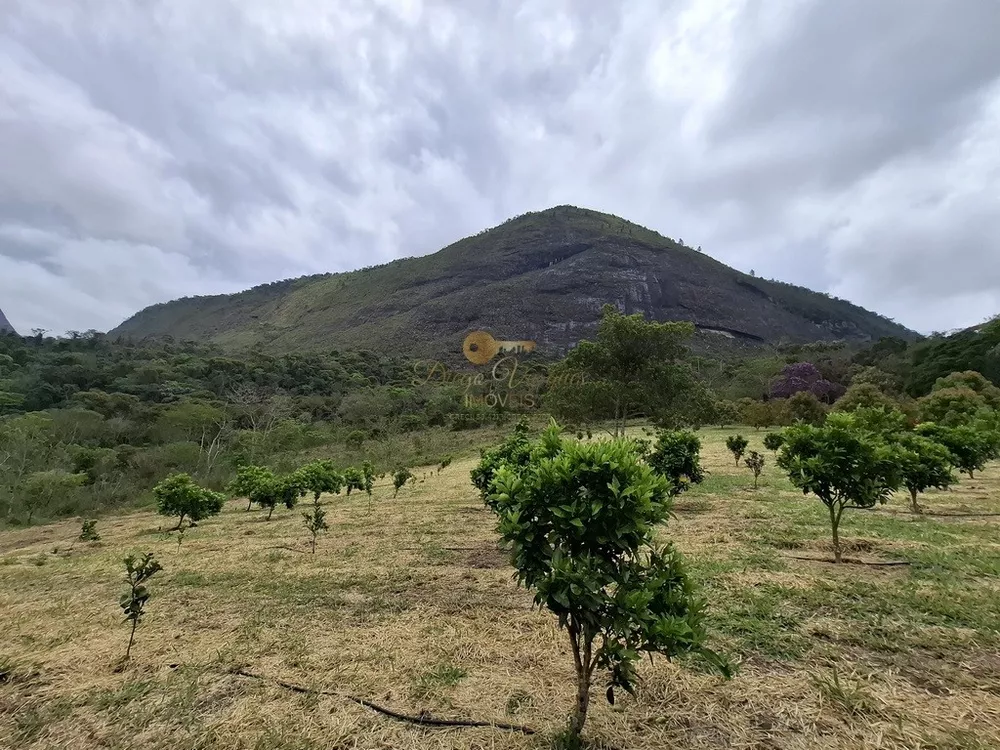 Sítio, 3 quartos, 42 hectares - Foto 8