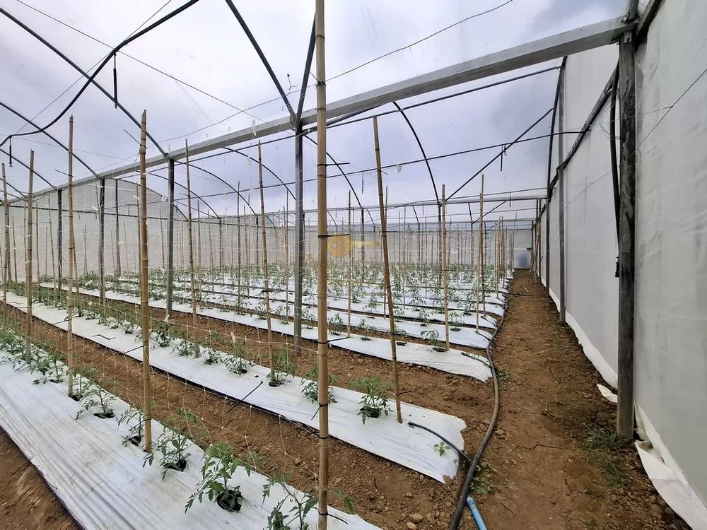 Sítio, 3 quartos, 42 hectares - Foto 32