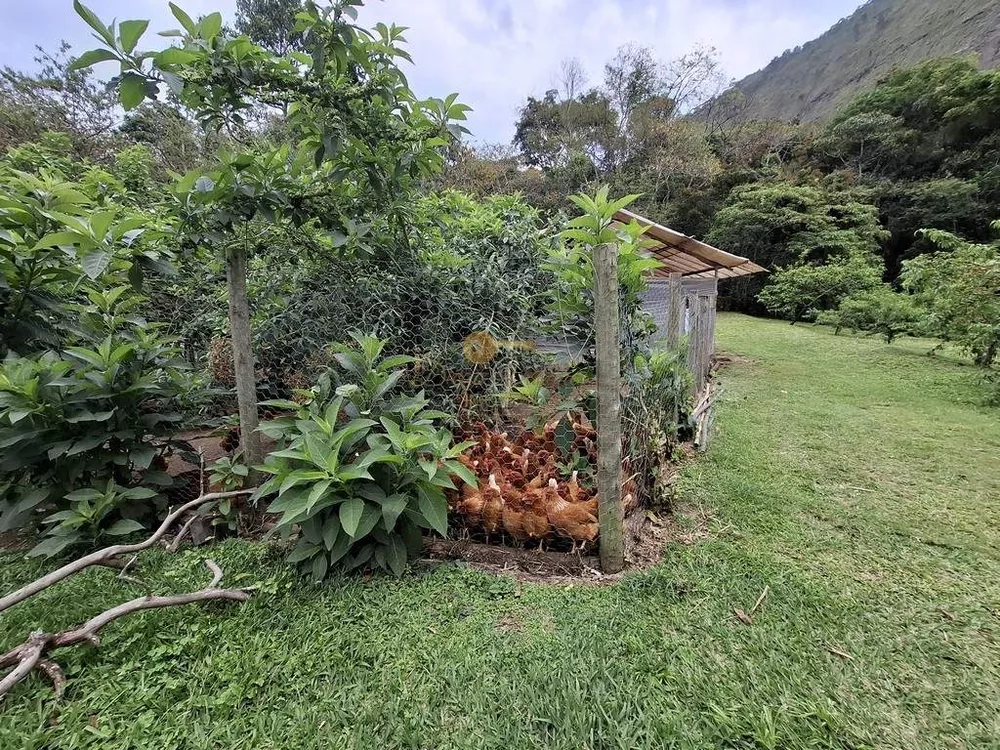 Sítio, 3 quartos, 42 hectares - Foto 10