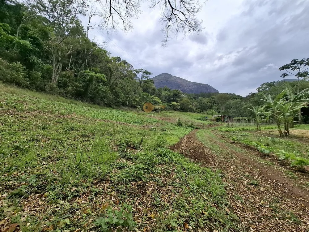 Sítio, 3 quartos, 42 hectares - Foto 27