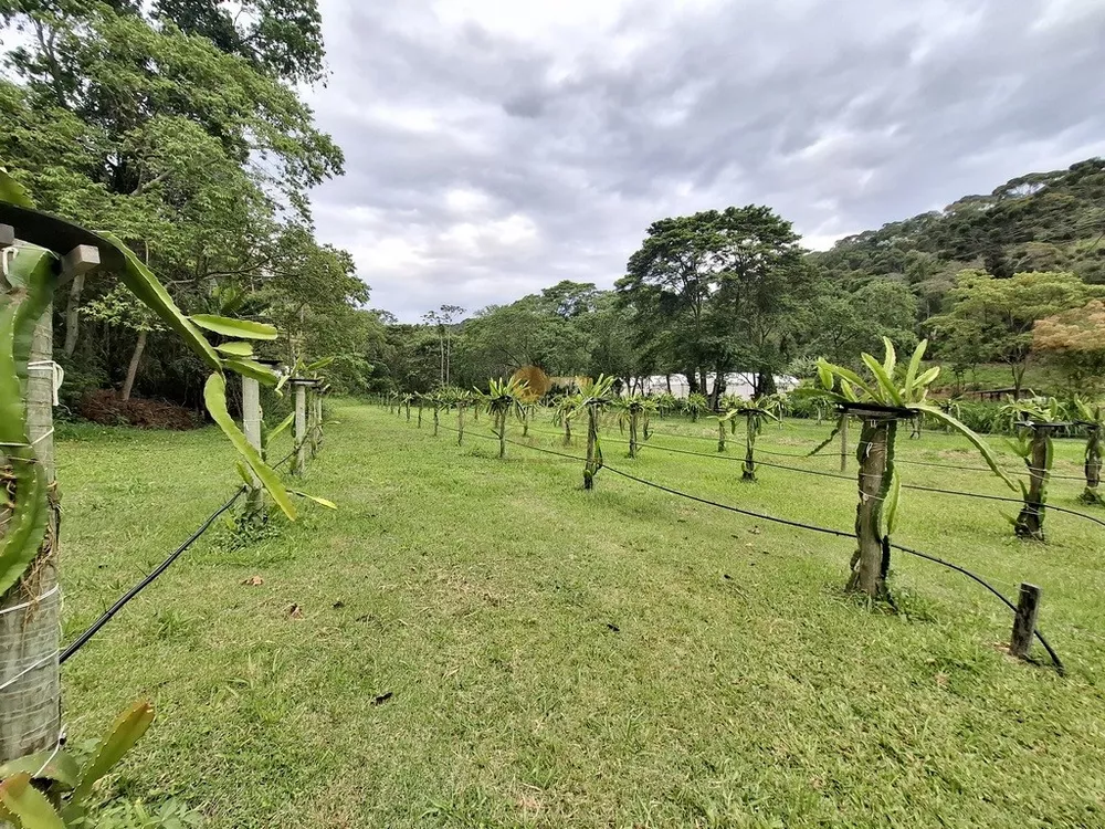 Sítio, 3 quartos, 42 hectares - Foto 22