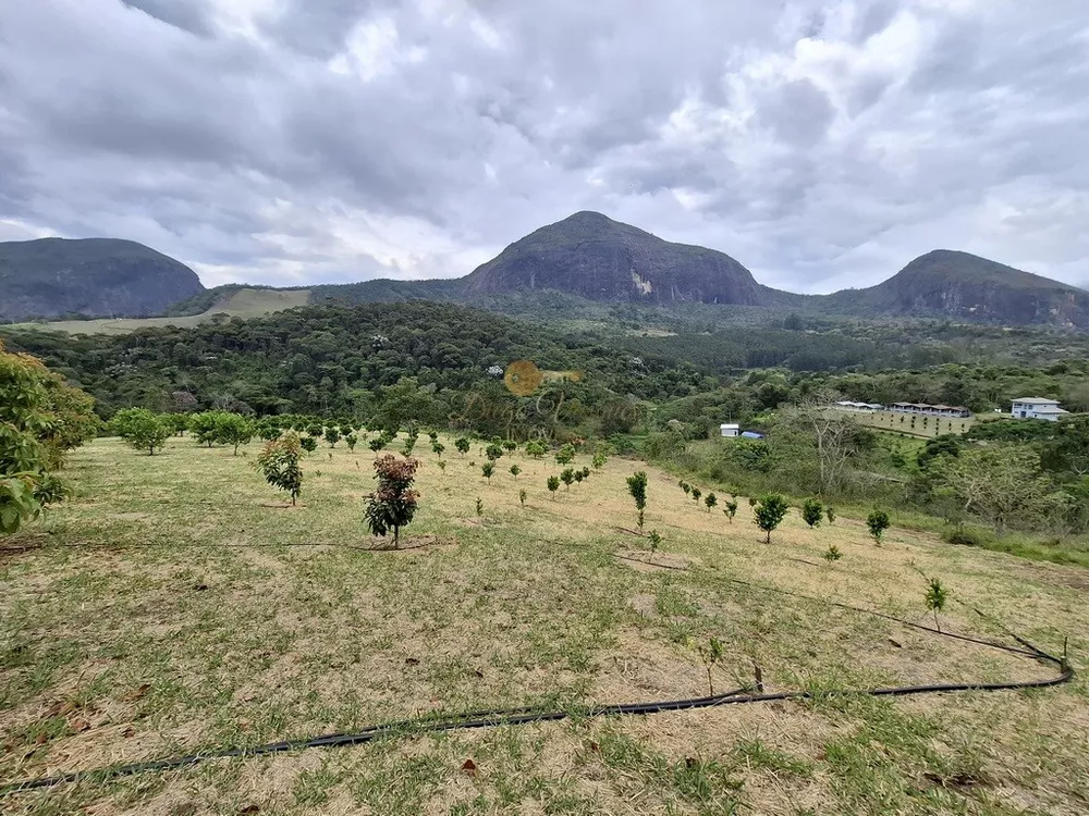 Sítio, 3 quartos, 42 hectares - Foto 5