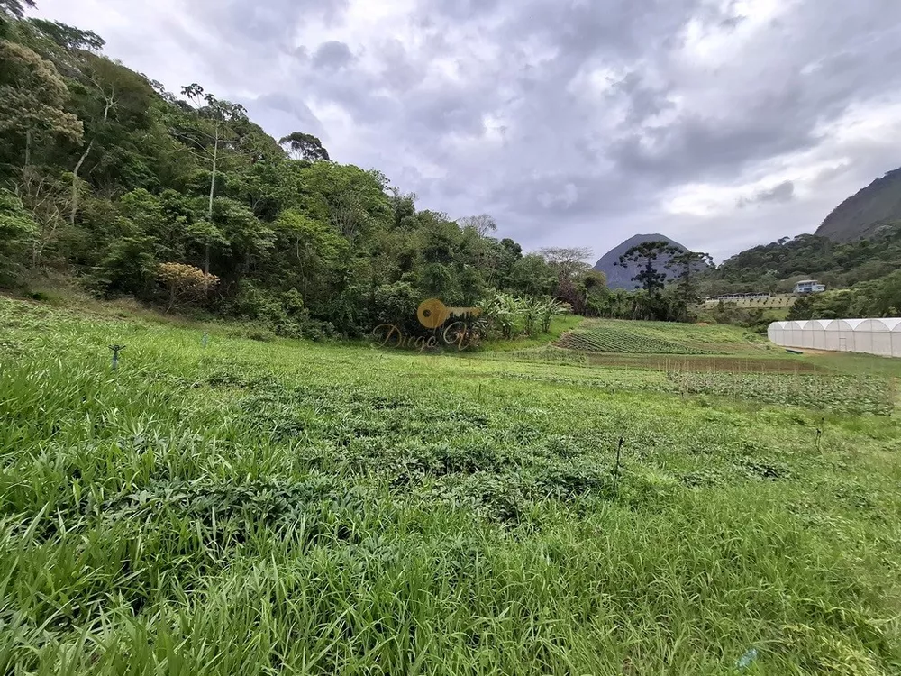 Sítio, 3 quartos, 42 hectares - Foto 25