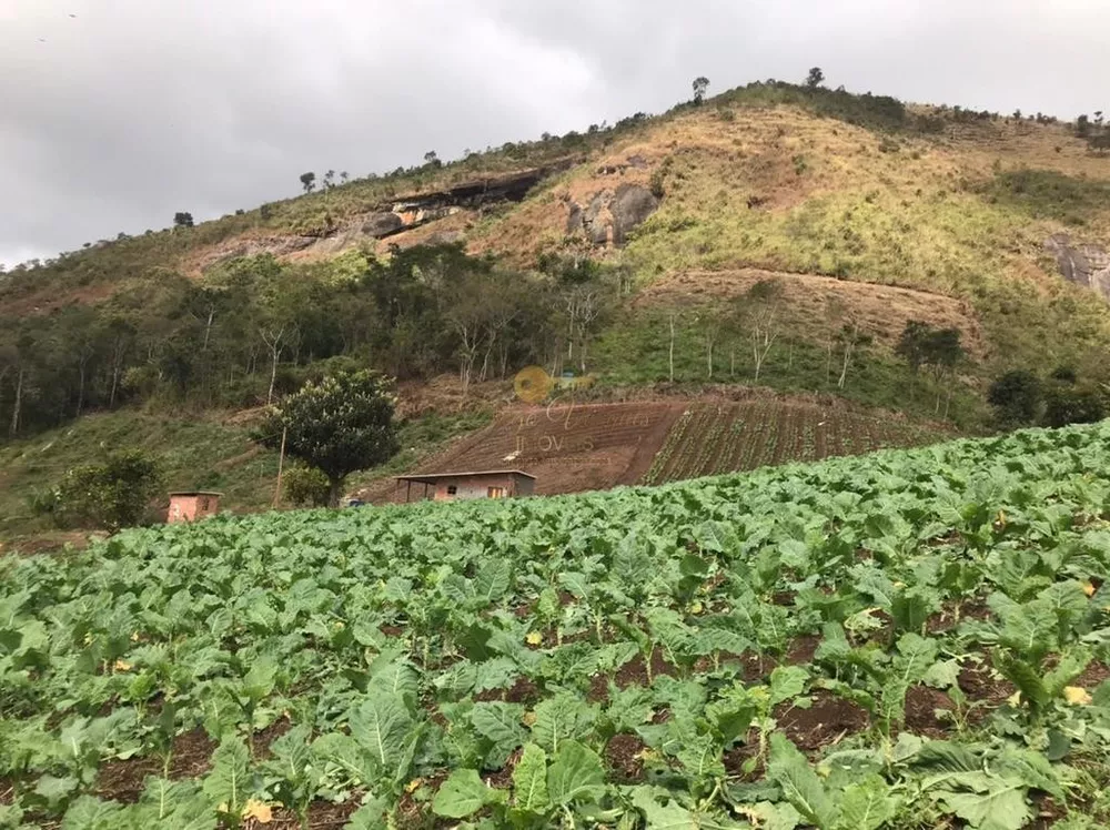Terreno, 12 hectares - Foto 6