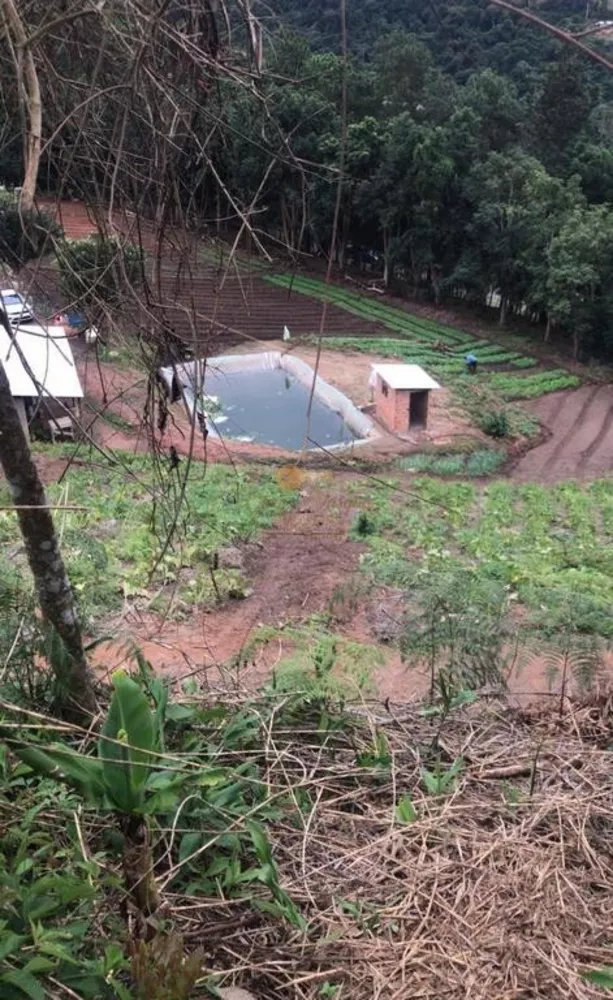 Terreno, 12 hectares - Foto 11