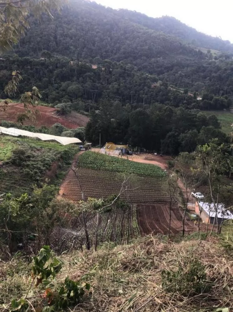 Terreno, 12 hectares - Foto 10