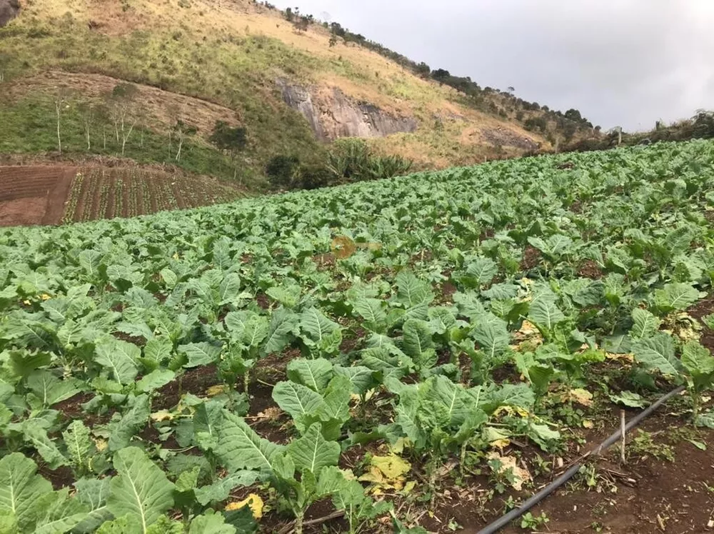 Terreno, 12 hectares - Foto 7