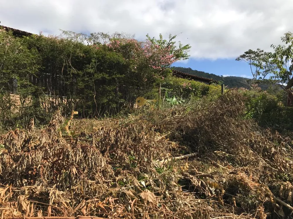 Terreno, 520 m² - Foto 10