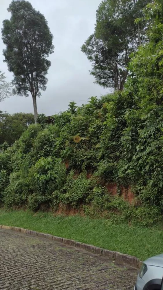 Terreno, 520 m² - Foto 4